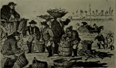 Viw of the Beach - Hastings of Bygone Days and the Present